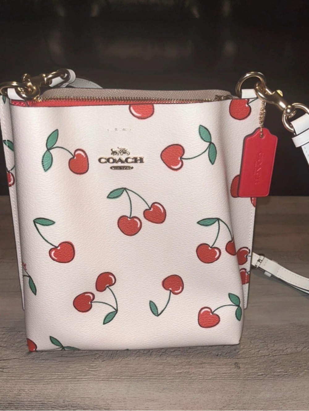Coach Mollie 22 Bucket Bag Cherry Print Tote/Crossbody Bag